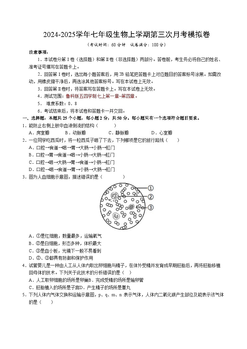 七年级生物第三次月考卷（考试版A4）【测试范围：七上第一章~第四章】（鲁科版五四学制）第1页