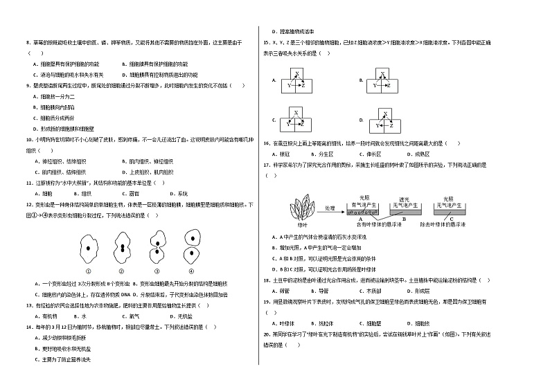 七年级生物第三次月考模拟卷【测试范围：1-2单元第一章】（考试版A3）（北京版2024）第2页