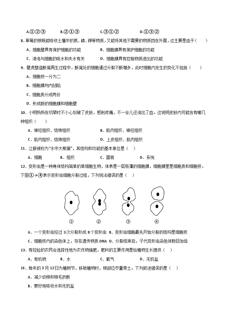 七年级生物第三次月考模拟卷【测试范围：1-2单元第一章】（考试版A4）（北京版2024）第3页