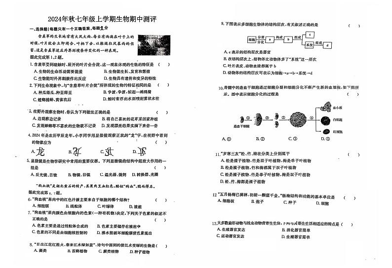 湖北省随县厉山中心学校2024-2025学年七年级上学期期中测评生物试卷第1页