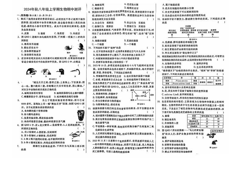 湖北省随县厉山中心学校2024-2025学年八年级上学期期中测评生物试卷第1页