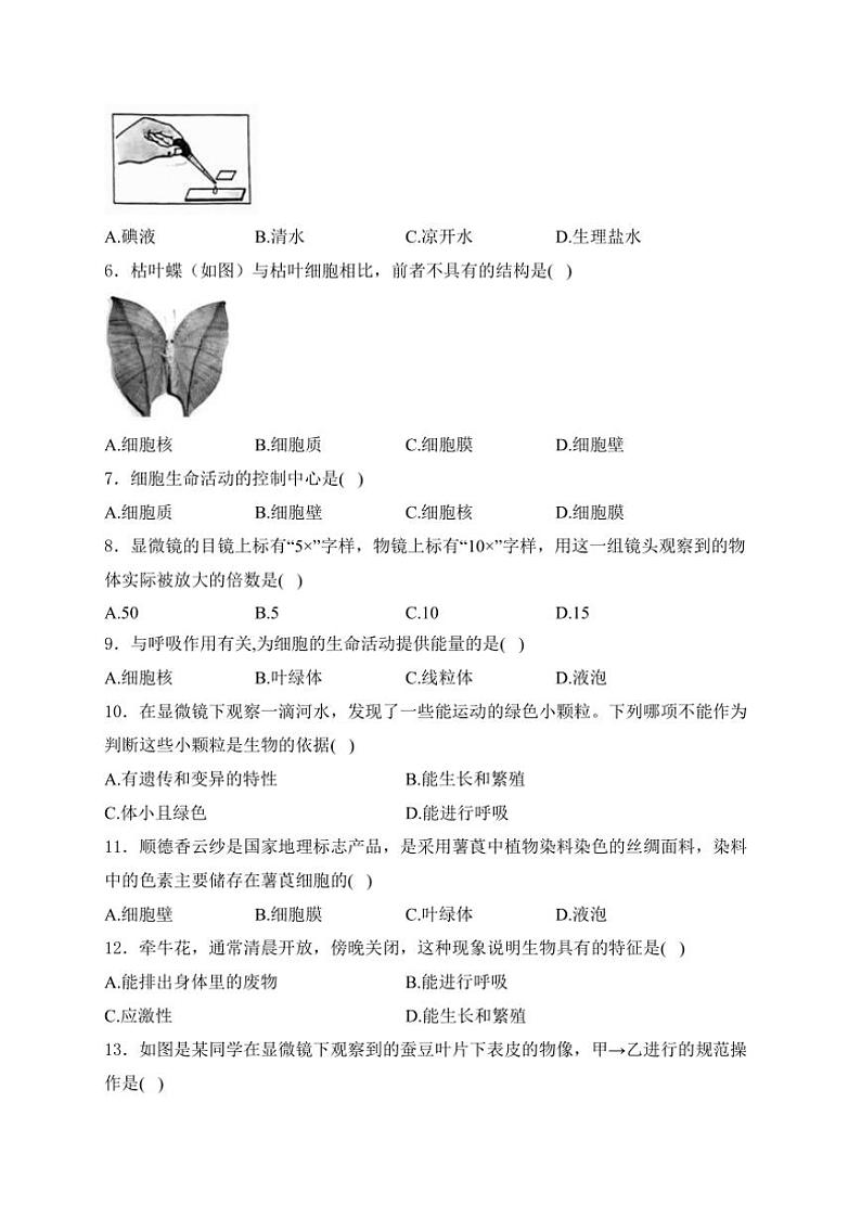 山西省临汾市洪洞县第二中学校2024～2025学年七年级(上)10月月考生物试卷(含答案)第2页