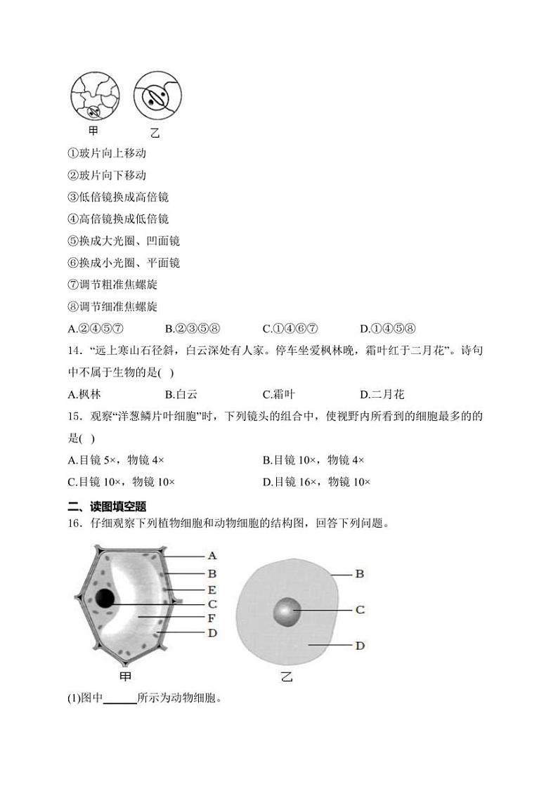 山西省临汾市洪洞县第二中学校2024～2025学年七年级(上)10月月考生物试卷(含答案)第3页