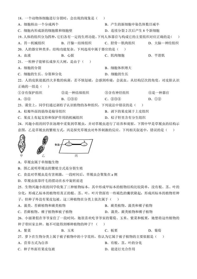 云南省昆明市寻甸回族彝族自治县第一中学2024～2025学年七年级(上)期中生物试卷(含解析)03