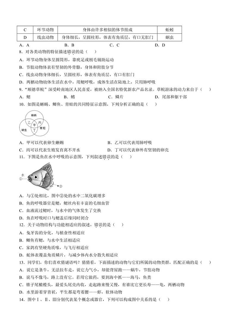 广东省佛山市顺德区容桂街道2024～2025学年八年级(上)期中生物试卷(含答案)第2页
