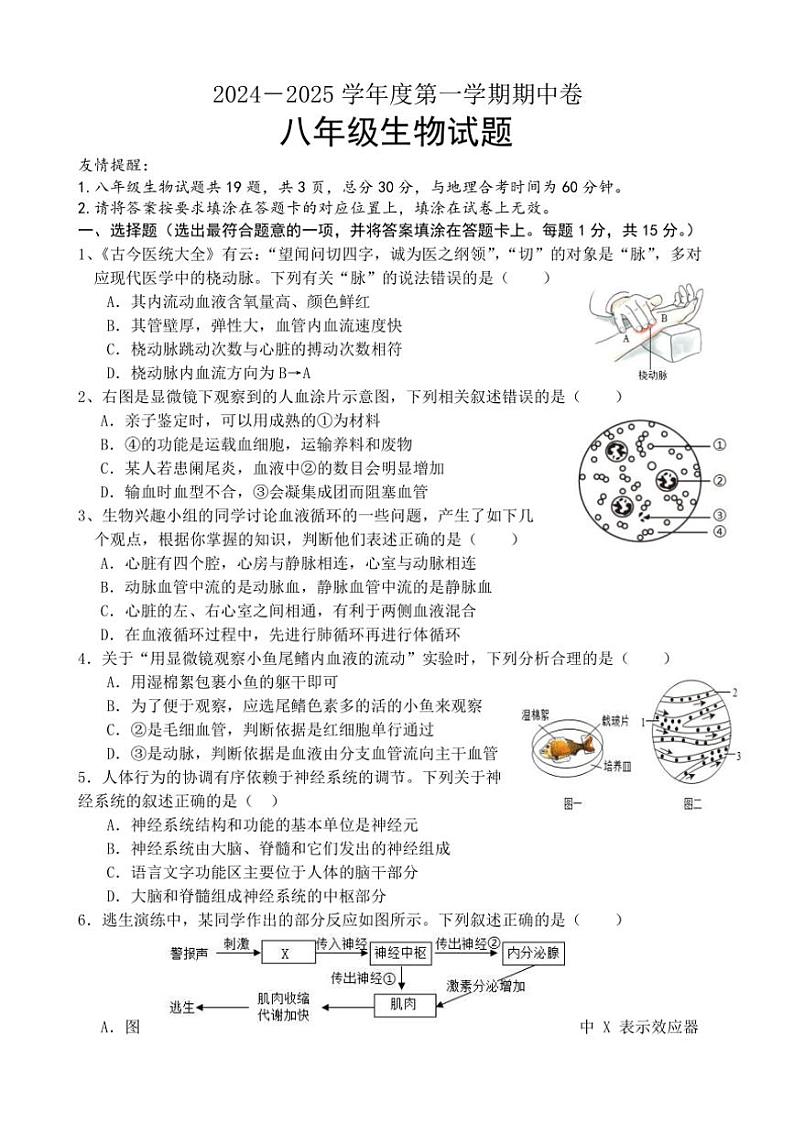 江苏省连云港市2024～2025学年八年级(上)期中生物试卷(含答案)第1页