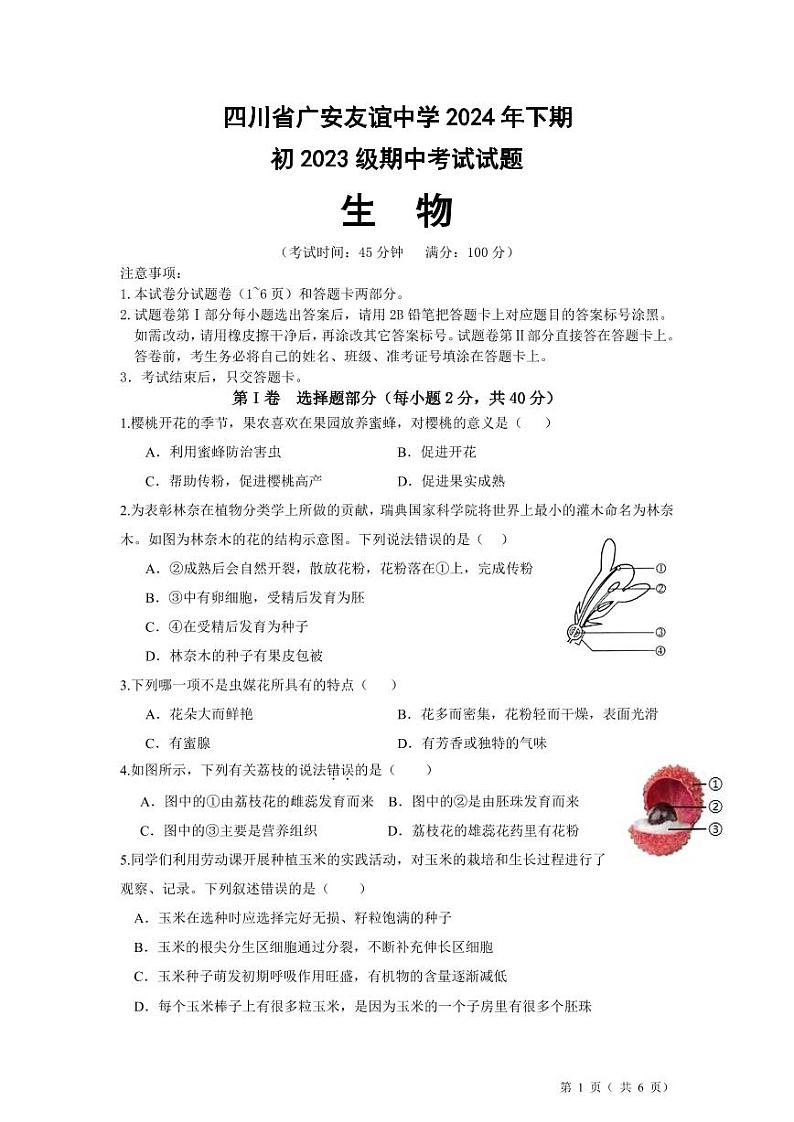 初二生物试题 第1页