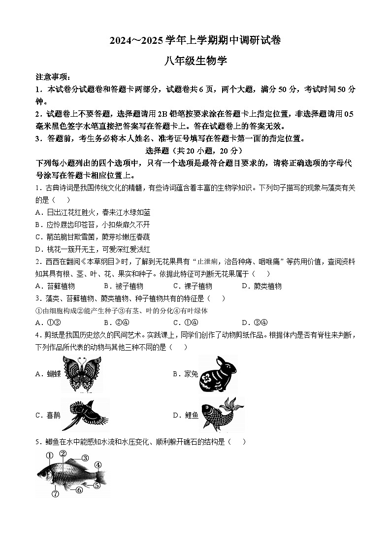 河南省舞钢市2024-2025学年八年级上学期期中生物试题(无答案)第1页