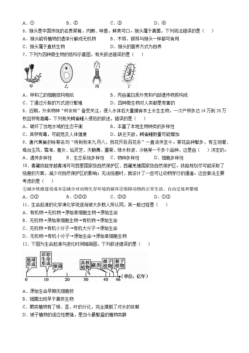 河南省舞钢市2024-2025学年八年级上学期期中生物试题(无答案)第2页