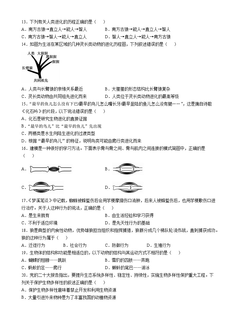 河南省舞钢市2024-2025学年八年级上学期期中生物试题(无答案)第3页