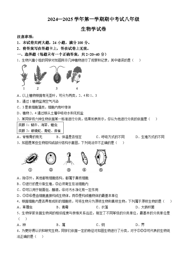 河南省洛阳市嵩县2024-2025学年八年级上学期期中生物试题(02)01