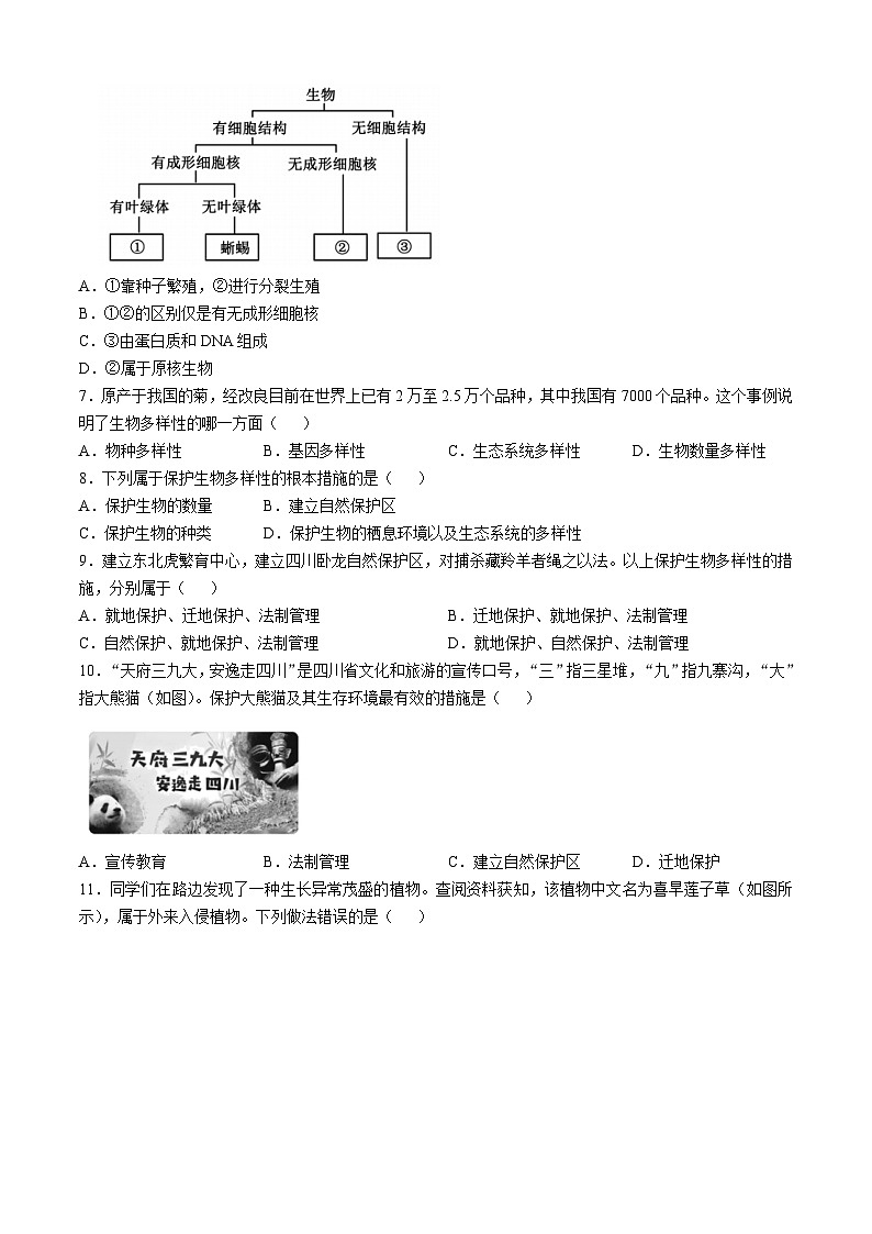 河南省洛阳市嵩县2024-2025学年八年级上学期期中生物试题(02)02