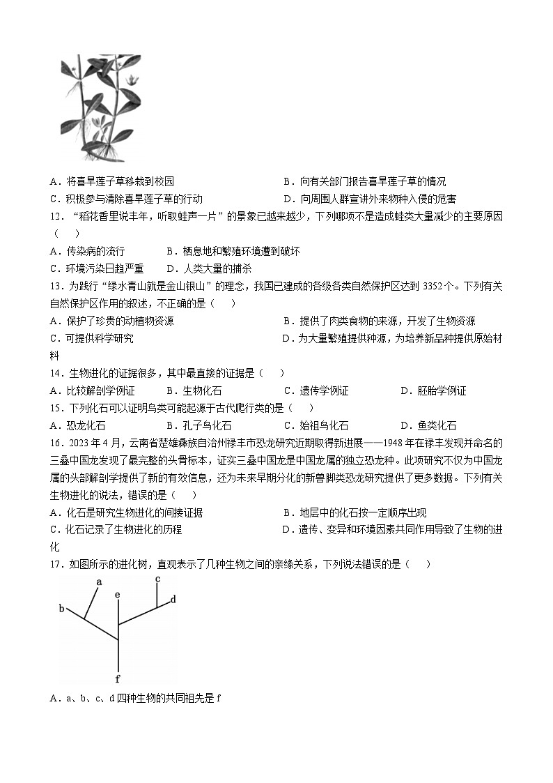 河南省洛阳市嵩县2024-2025学年八年级上学期期中生物试题(02)03