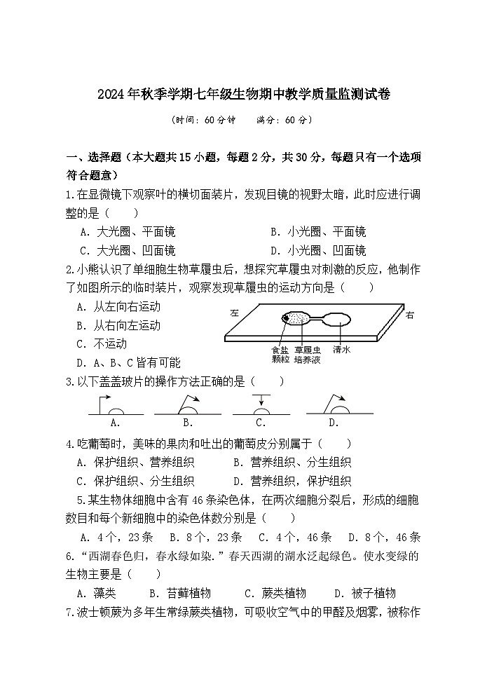 广西防城港市上思县2024-2025学年七年级上学期期中教学质量监测生物试卷第1页