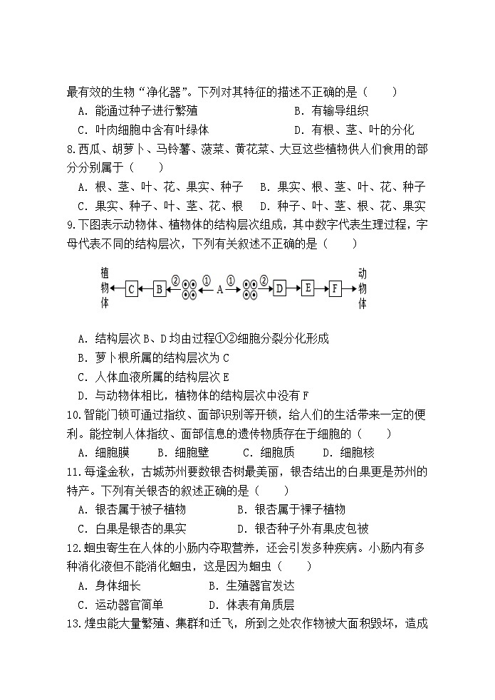 广西防城港市上思县2024-2025学年七年级上学期期中教学质量监测生物试卷第2页