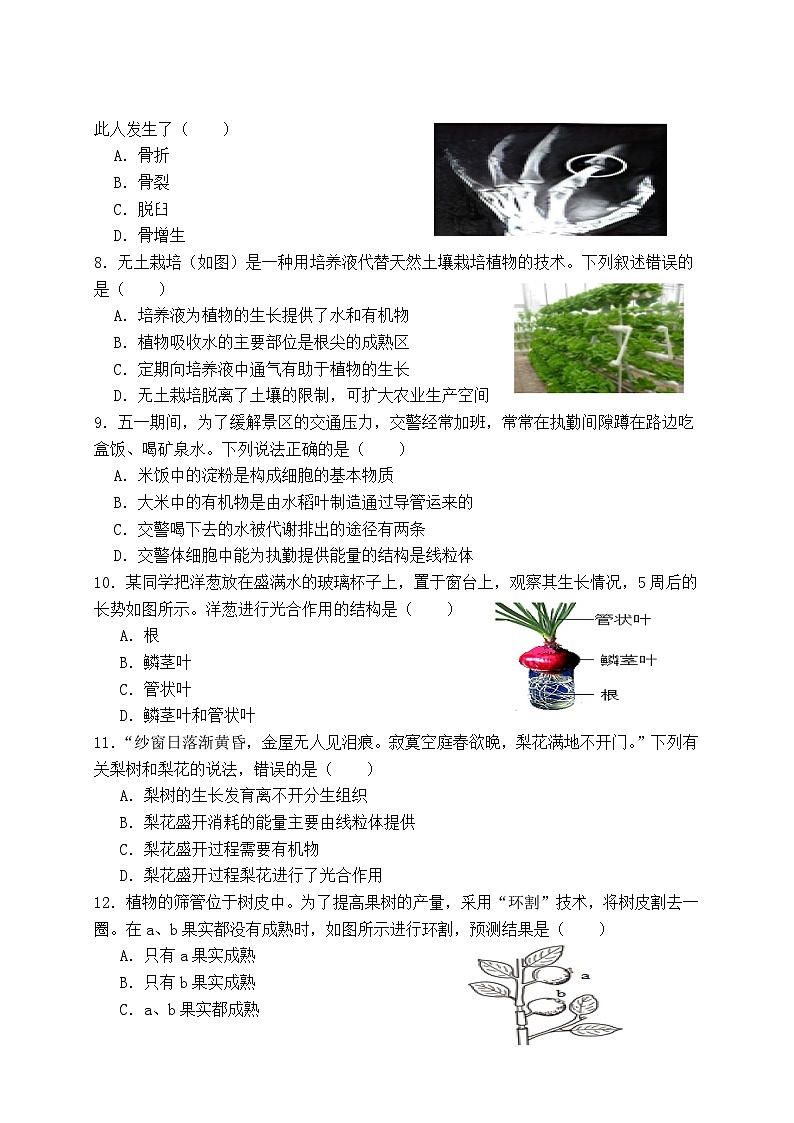 广西防城港市上思县2024-2025学年八年级上学期期中教学质量监测生物试卷第2页