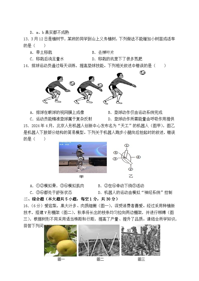 广西防城港市上思县2024-2025学年八年级上学期期中教学质量监测生物试卷第3页