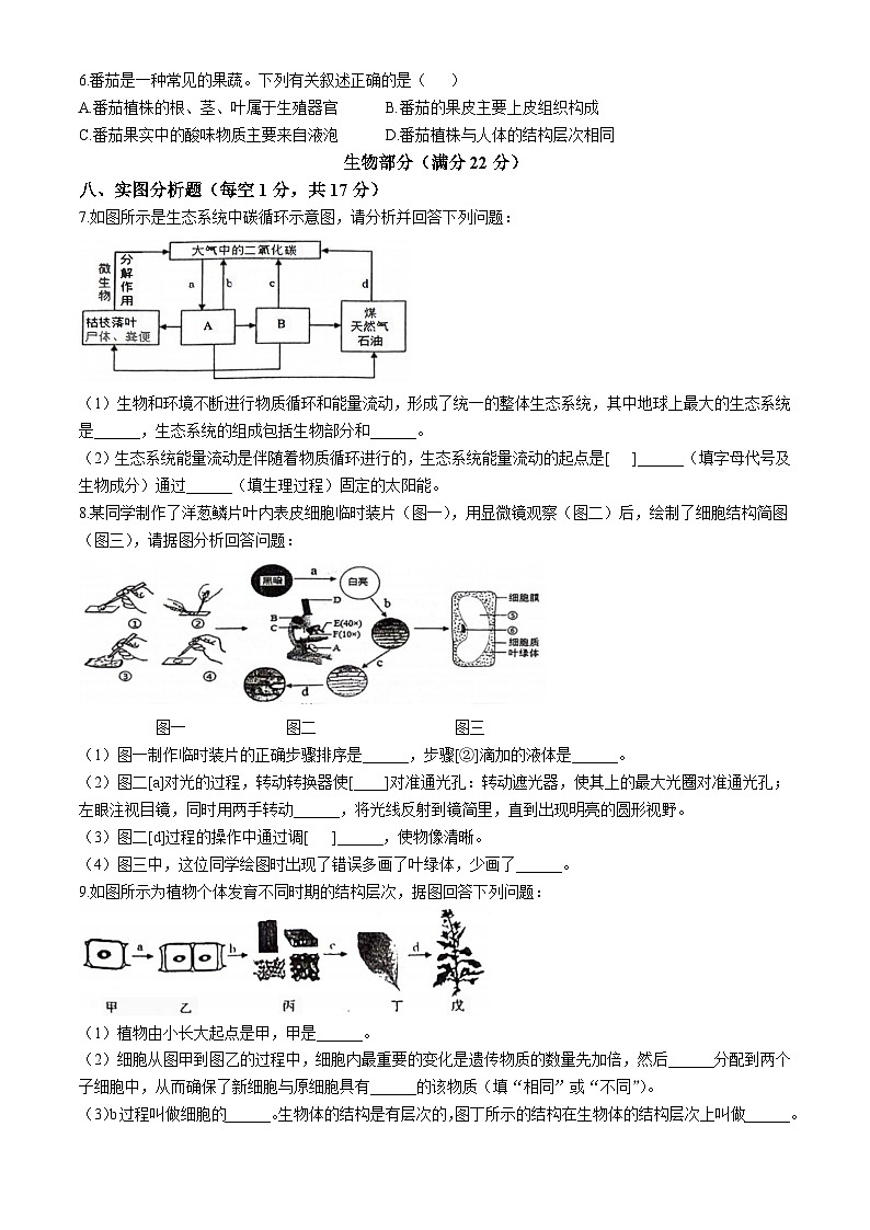 四川省泸州市龙马潭区四校联考2023-2024学年九年级上学期期中生物试题第2页