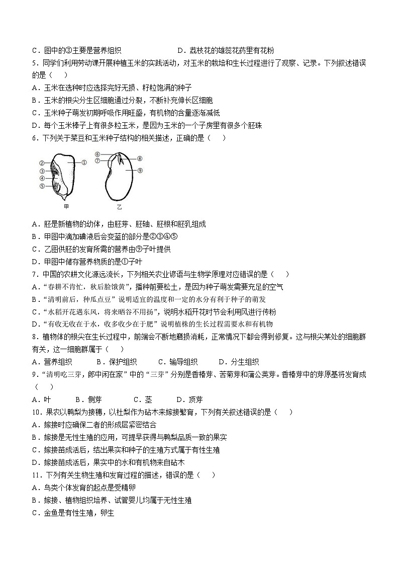 四川省广安市友谊中学2024-2025学年八年级上学期期中生物学试题第2页