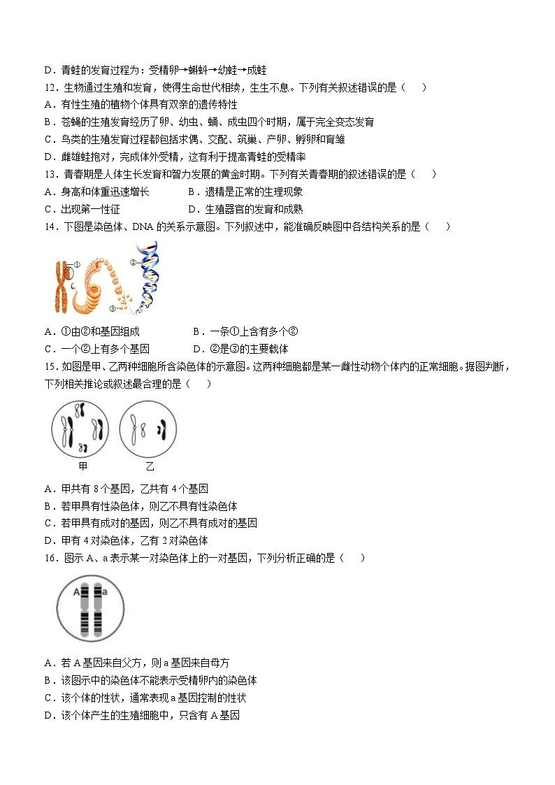 四川省广安市友谊中学2024-2025学年八年级上学期期中生物学试题第3页