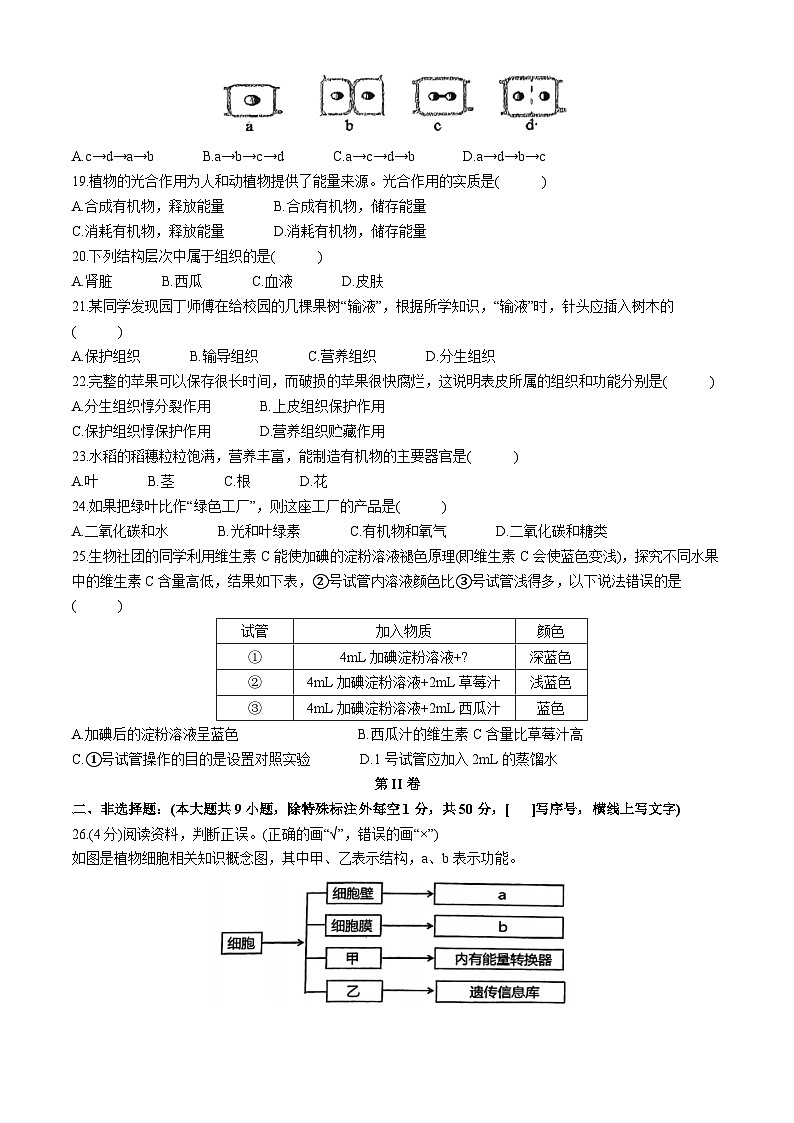 福建省泉州市第五中学2024-2025学年七年级上学期期中生物试题(无答案)第3页