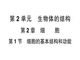 初中生物新北师大版七年级上册第2单元第2章第一节 细胞作业课件2024秋