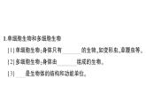 初中生物新北师大版七年级上册第2单元第2章第一节 细胞作业课件2024秋
