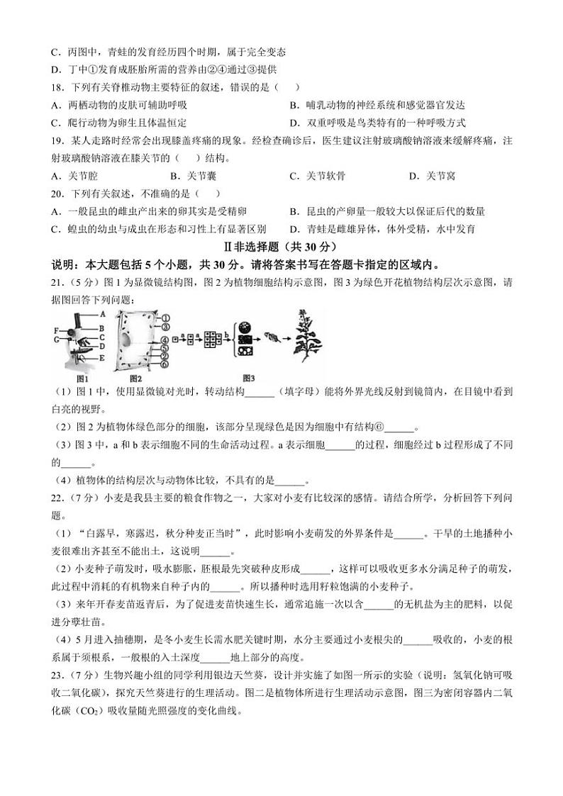 山东省菏泽市鄄城县2024～2025学年九年级(上)期中生物试卷(含答案)第3页