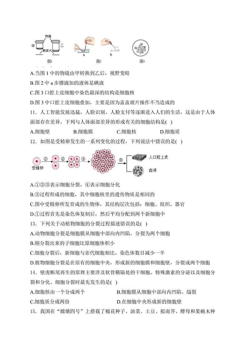山东省滨州市博兴县2024～2025学年七年级(上)期中生物试卷(含答案)第3页