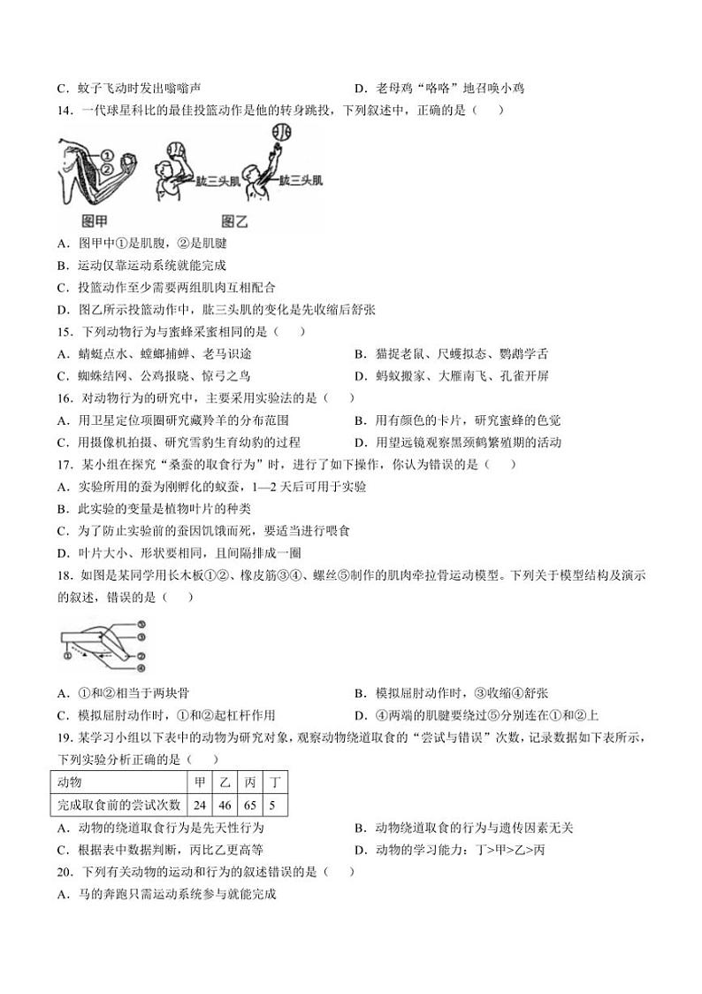 山东省东营市利津县2024～2025学年八年级(上)期中生物试卷(含答案)第3页