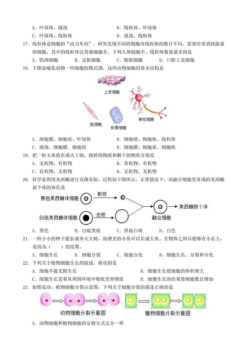 云南民族大学附属中学2024～2025学年七年级(上)期中联考生物试卷(含答案)第3页