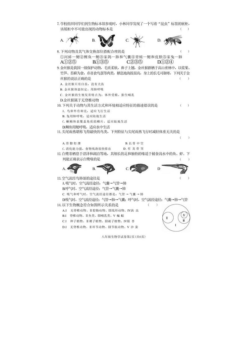 湖南省张家界市桑植县2024～2025学年八年级(上)期中生物试卷(含答案)第2页