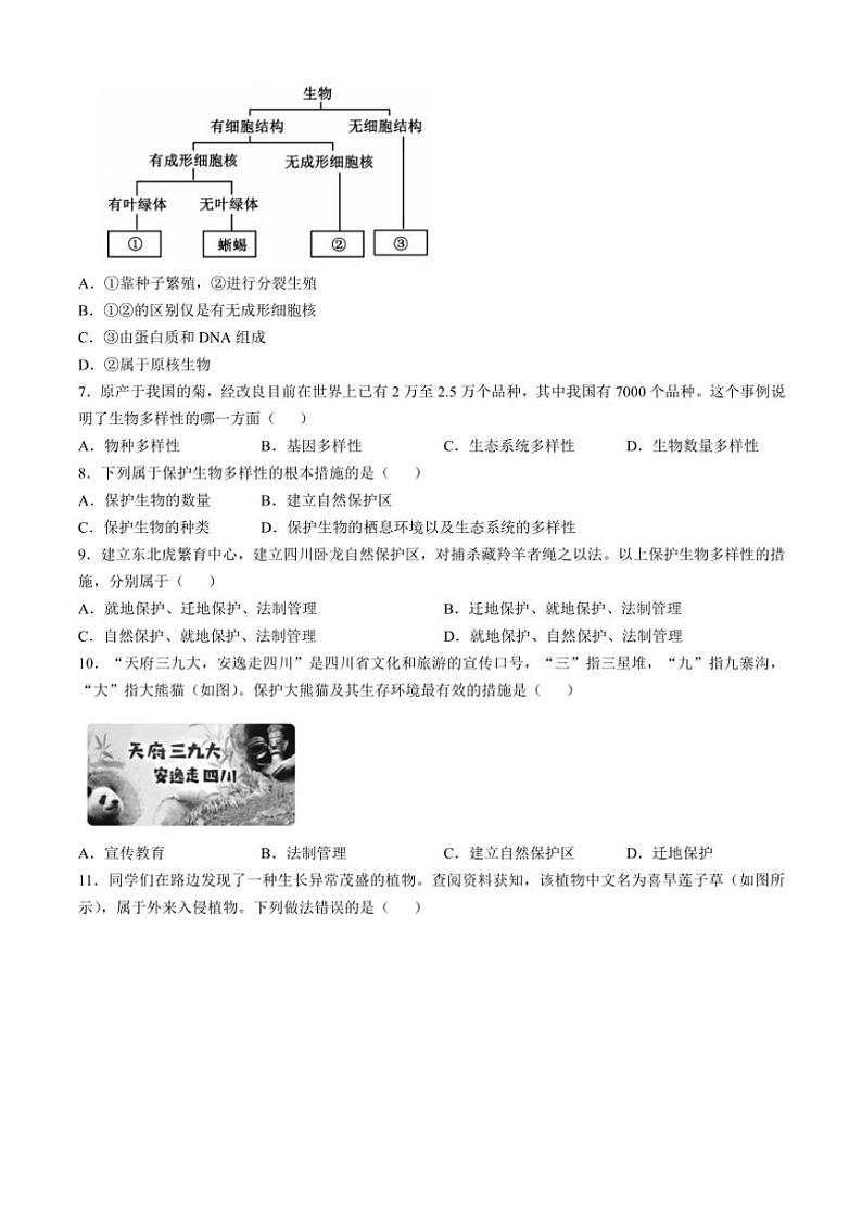 河南省洛阳市嵩县2024～2025学年八年级(上)期中生物试卷(含答案)02