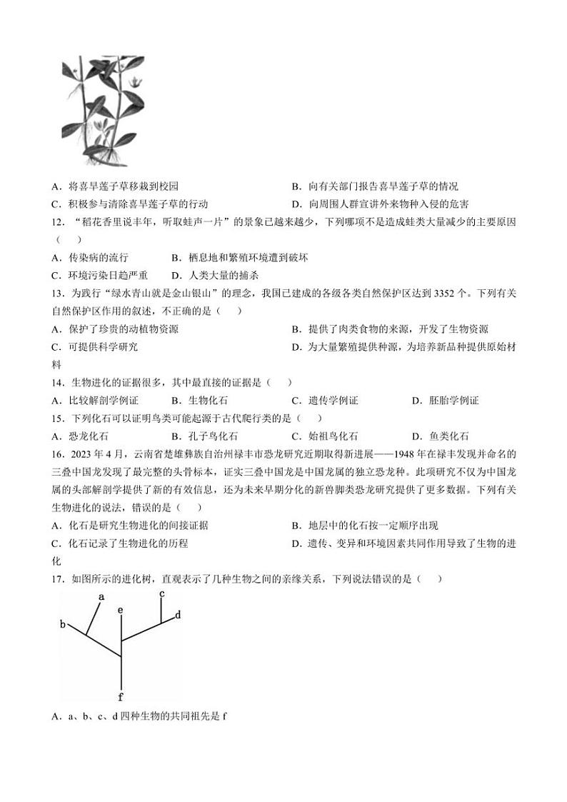 河南省洛阳市嵩县2024～2025学年八年级(上)期中生物试卷(含答案)03