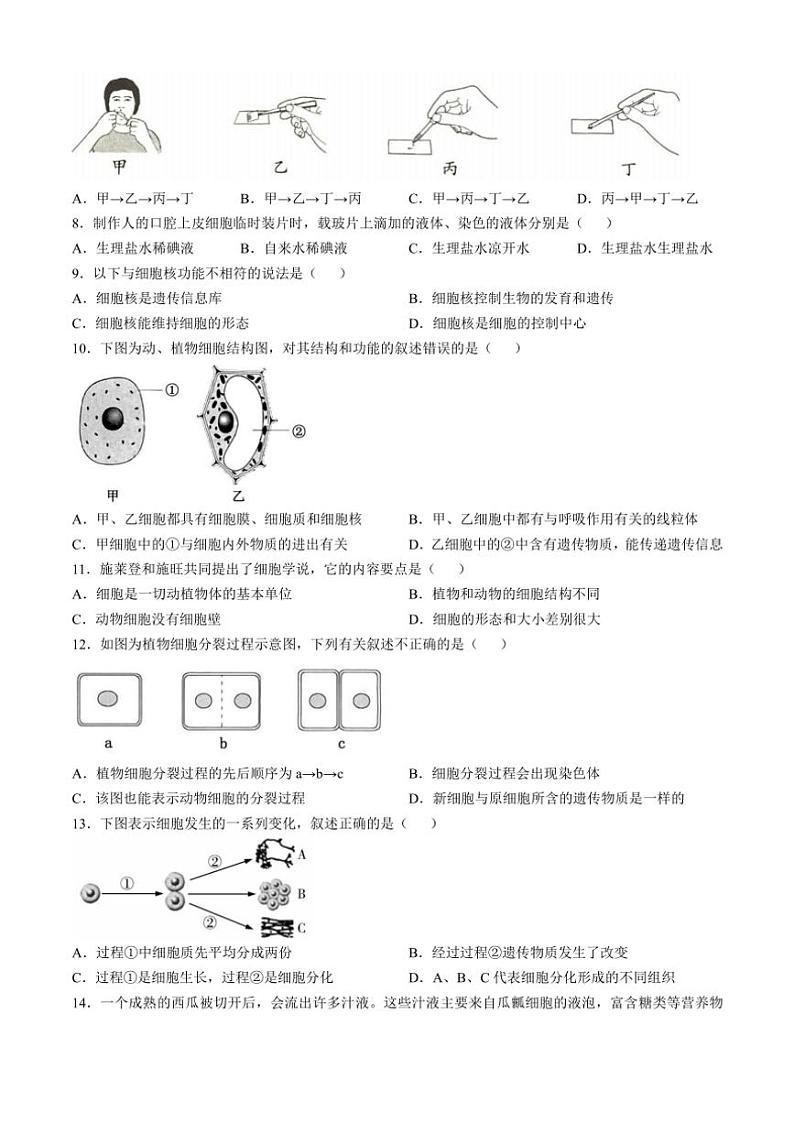河南省洛阳市嵩县2024～2025学年七年级(上)期中生物试卷(含答案)02