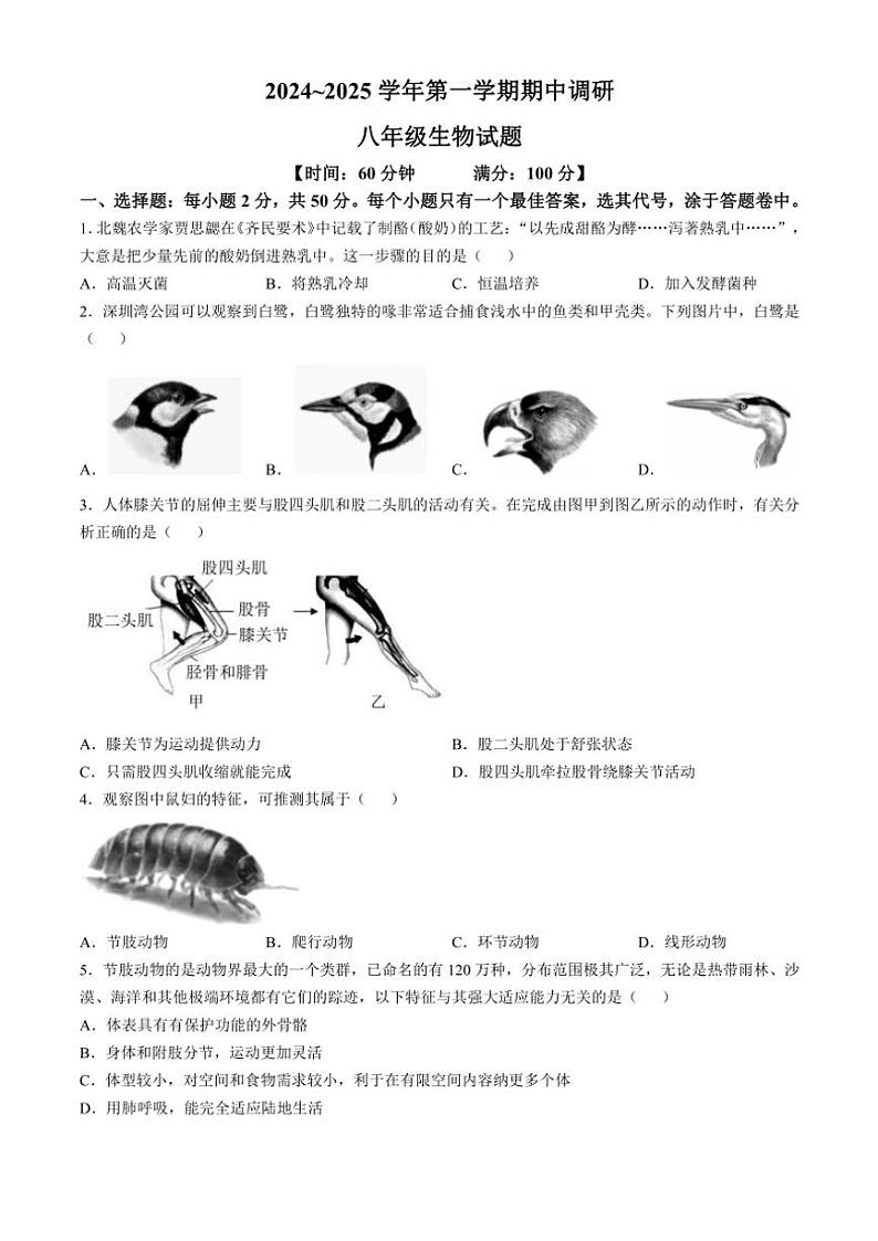 山东省聊城市临清市2024～2025学年八年级(上)期中生物试卷(含答案)第1页