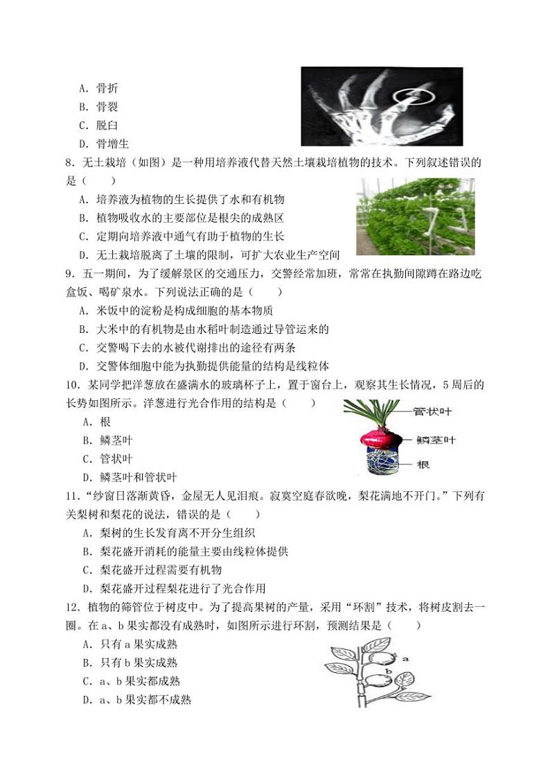 广西防城港市上思县2024～2025学年八年级(上)期中教学质量监测生物试卷(含答案)第2页