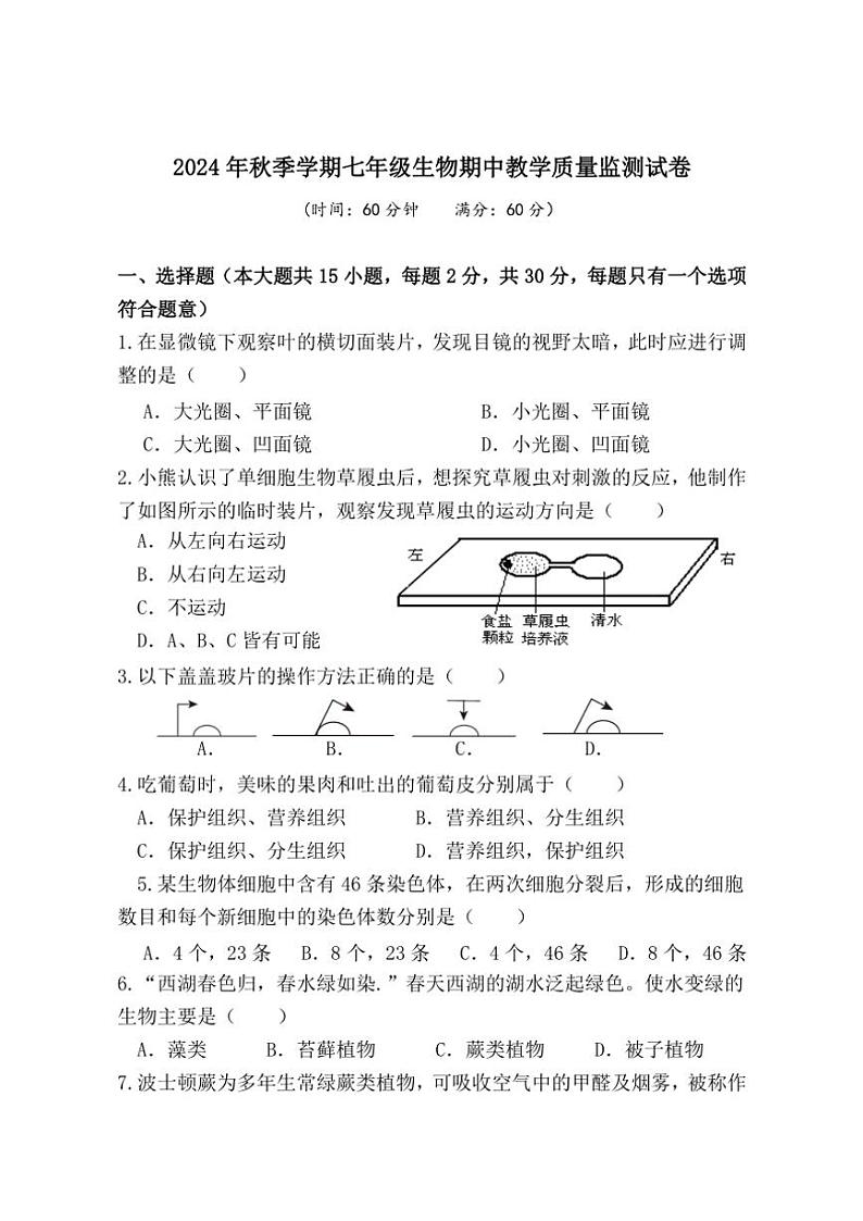 广西防城港市上思县2024～2025学年七年级(上)期中教学质量监测生物试卷(含答案)第1页