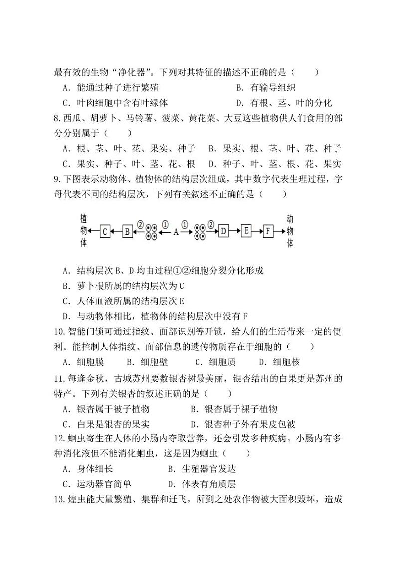 广西防城港市上思县2024～2025学年七年级(上)期中教学质量监测生物试卷(含答案)第2页