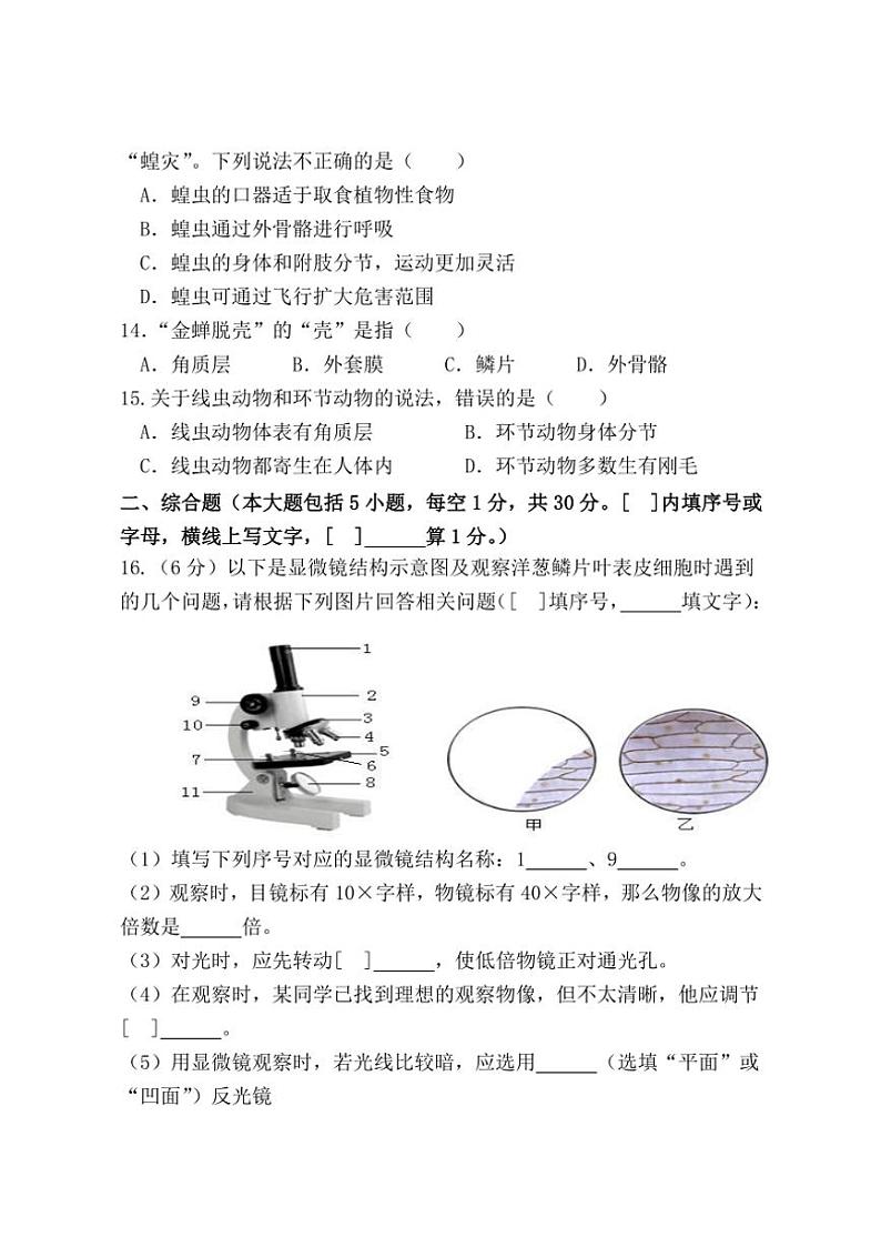 广西防城港市上思县2024～2025学年七年级(上)期中教学质量监测生物试卷(含答案)第3页