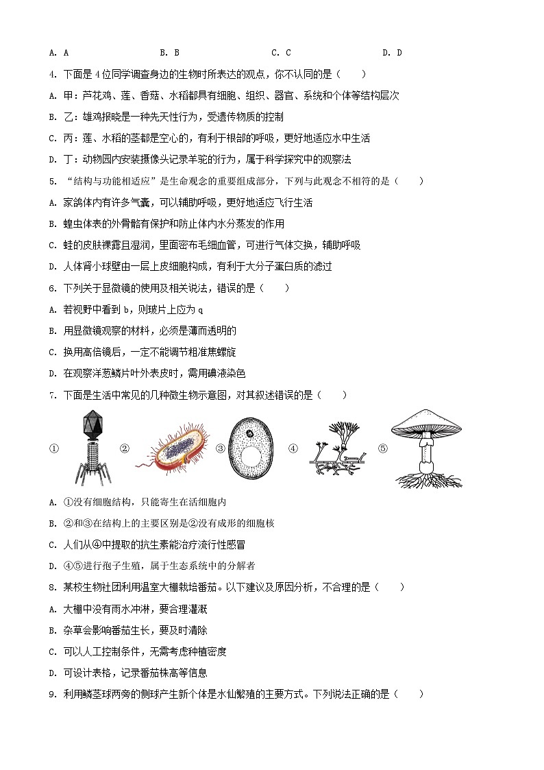 2024年山东济宁中考真题生物试题及答案第2页