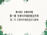 济南版生物八年级下册 6.1.2 生物对环境的适应与影响课件