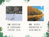济南版生物八年级下册 6.1.2 生物对环境的适应与影响课件