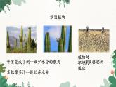 济南版生物八年级下册 6.1.2 生物对环境的适应与影响课件