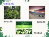 济南版生物八年级下册 6.2.4 生态系统的类型课件