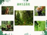 济南版生物八年级下册 6.2.4 生态系统的类型课件