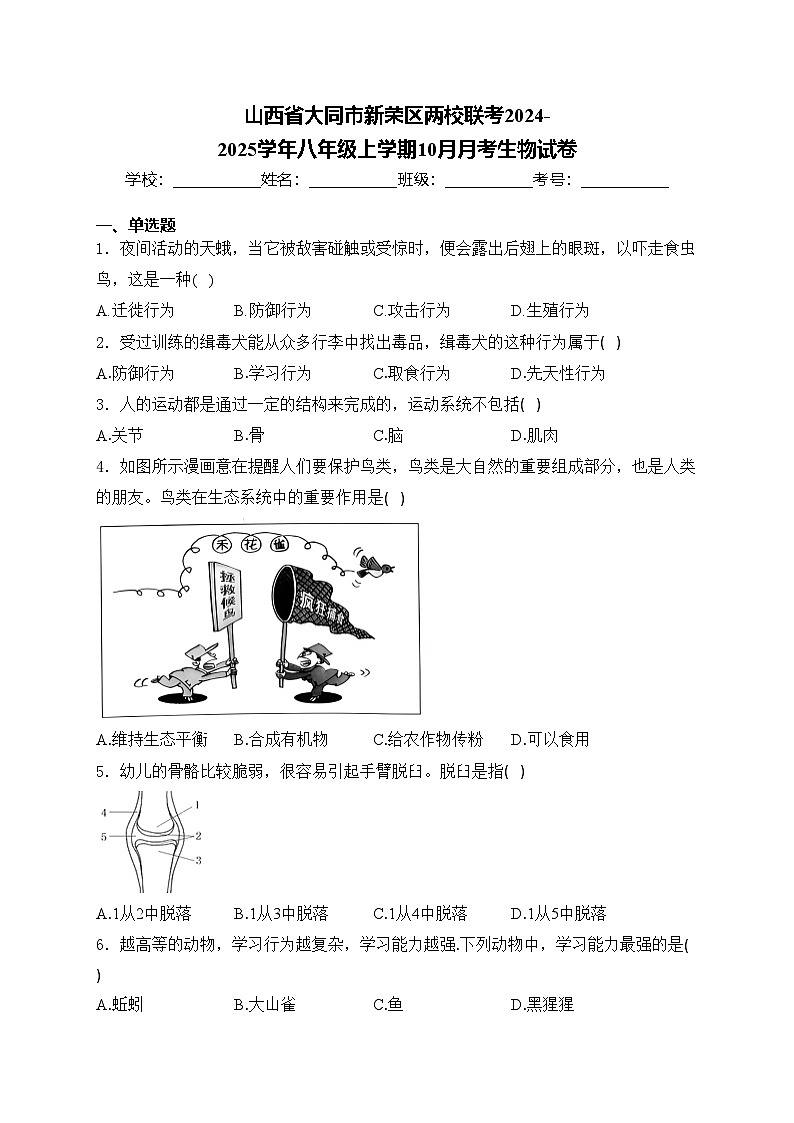 山西省大同市新荣区两校联考2024-2025学年八年级上学期10月月考生物试卷(含答案)01