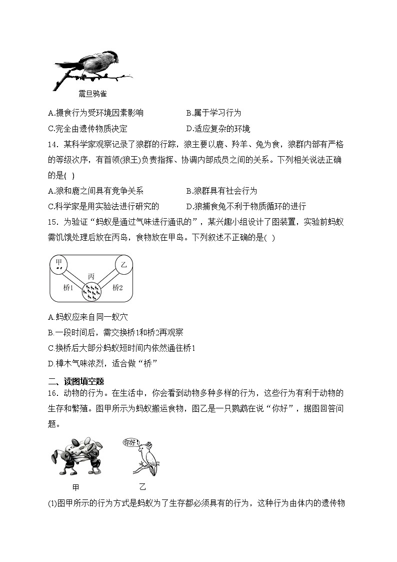 山西省大同市新荣区两校联考2024-2025学年八年级上学期10月月考生物试卷(含答案)03