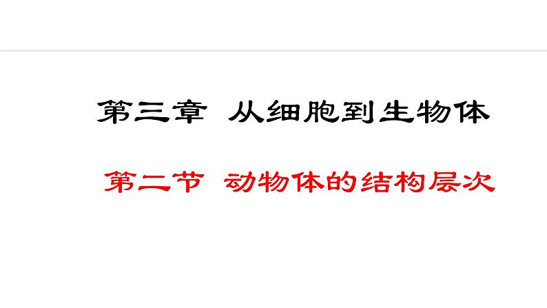 2024人教版生物七年级上册第一单元生物和细胞第三章从细胞到生物体1.3.2动物体的结构层次教学课件ppt第1页