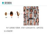 2024人教版生物七年级上册第一单元生物和细胞第三章从细胞到生物体1.3.2动物体的结构层次教学课件ppt